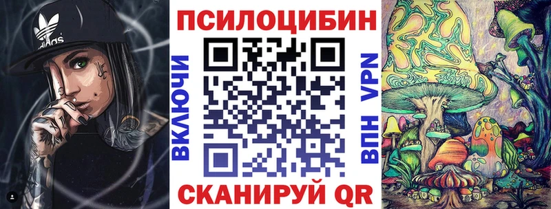 Галлюциногенные грибы Cubensis  магазин    Губкин 