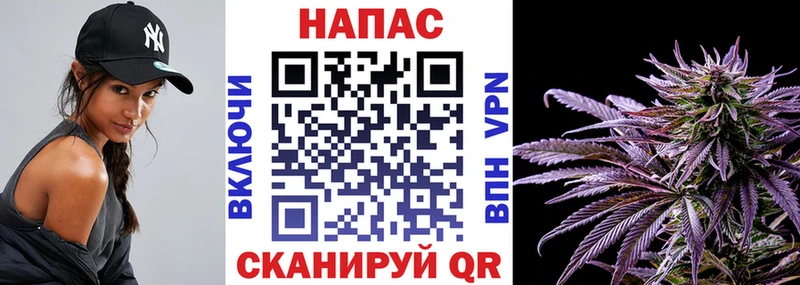 Бошки Шишки MAZAR Губкин